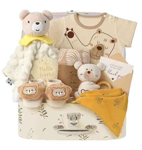 Newborn Baby Gift Basket Set Baby Shower Gifts